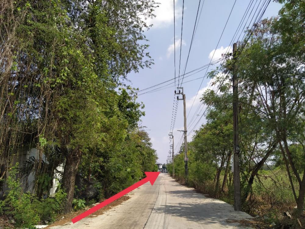 ขายที่ดินลาดกระบัง สุวรรณภูมิ : ขายที่ดินลาดกระบัง ใกล้แยกหนองจอก- สุวินทวงศ์ ขนาด 236 ตร.ว. ถนนคอนกรีต สาธารณูปโภคครบ