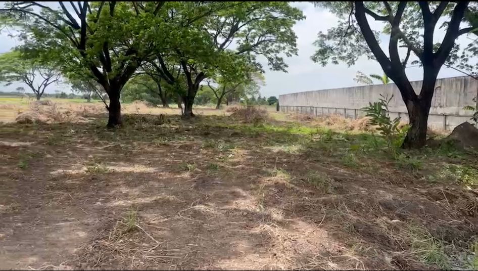 ขายที่ดินปทุมธานี รังสิต ธรรมศาสตร์ : ขายที่ดินเปล่า  14 ไร่ 2 งาน 43 ตารางวา  คลองหก (คลอง7ฝั่งตะวันตก)  คลองหลวง  ปทุมธานี