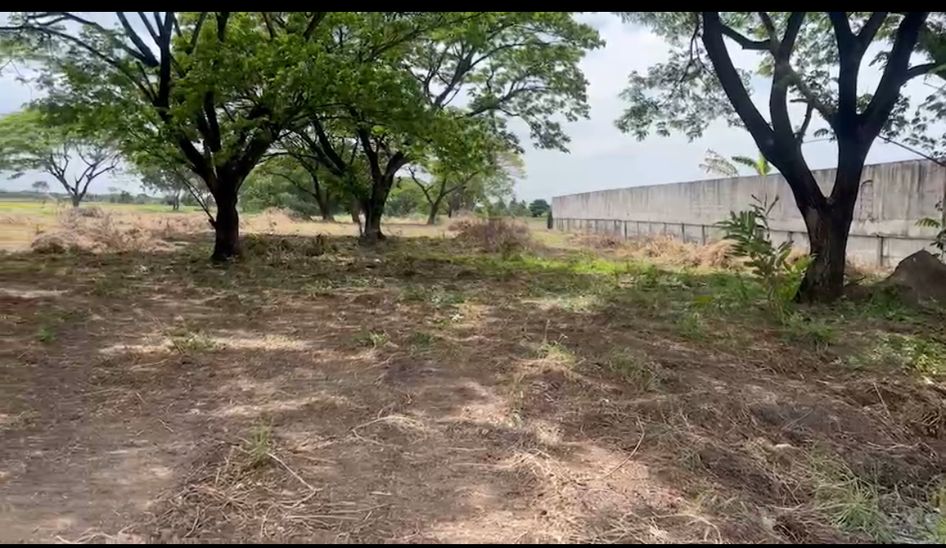 ขายที่ดินปทุมธานี รังสิต ธรรมศาสตร์ : ขายที่ดินเปล่า  14 ไร่ 2 งาน 43 ตารางวา  คลองหก (คลอง7ฝั่งตะวันตก)  คลองหลวง  ปทุมธานี