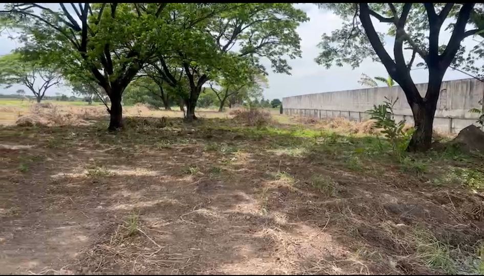 ขายที่ดินปทุมธานี รังสิต ธรรมศาสตร์ : ขายที่ดินเปล่า  14 ไร่ 2 งาน 43 ตารางวา  คลองหก (คลอง7ฝั่งตะวันตก)  คลองหลวง  ปทุมธานี