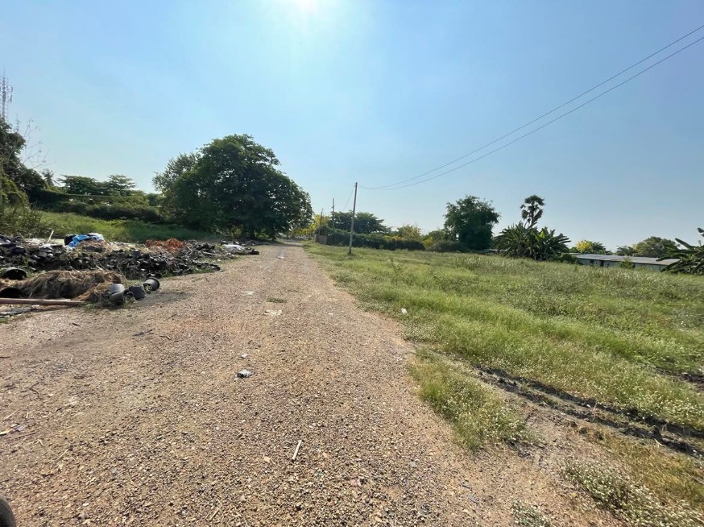 ขายที่ดินปทุมธานี รังสิต ธรรมศาสตร์ : ขายที่ดินถมแล้วบางส่วน 58 ไร่ 1 งาน 33 ตารางวา ใกล้ อบต.คลอง6 ถ.เลียบคลองหก  คลองหลวง ปทุมธานี(ธัญบุรี)12120