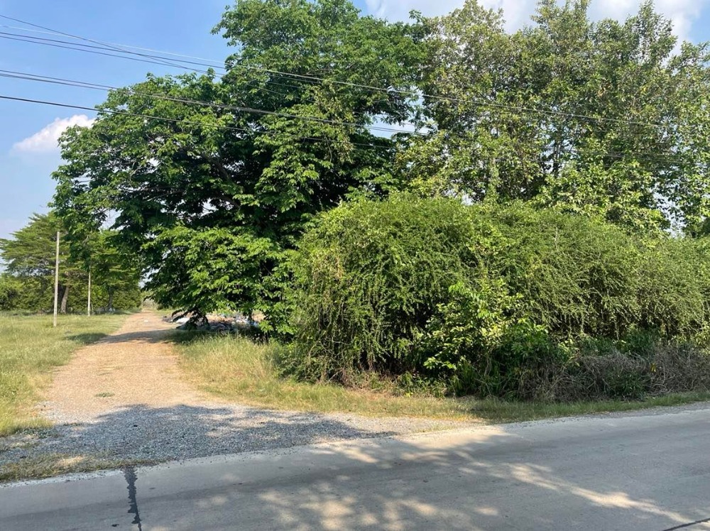 ขายที่ดินปทุมธานี รังสิต ธรรมศาสตร์ : ขายที่ดินถมแล้วบางส่วน 58 ไร่ 1 งาน 33 ตารางวา ใกล้ อบต.คลอง6 ถ.เลียบคลองหก  คลองหลวง ปทุมธานี(ธัญบุรี)12120