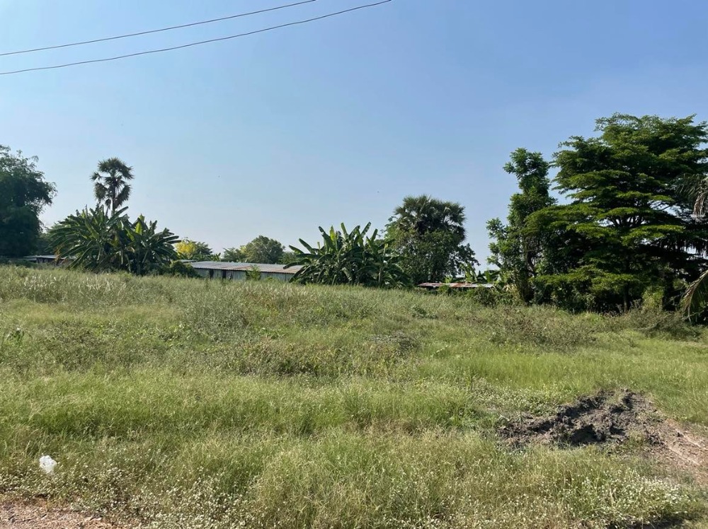 ขายที่ดินปทุมธานี รังสิต ธรรมศาสตร์ : ขายที่ดินถมแล้วบางส่วน 58 ไร่ 1 งาน 33 ตารางวา ใกล้ อบต.คลอง6 ถ.เลียบคลองหก  คลองหลวง ปทุมธานี(ธัญบุรี)12120