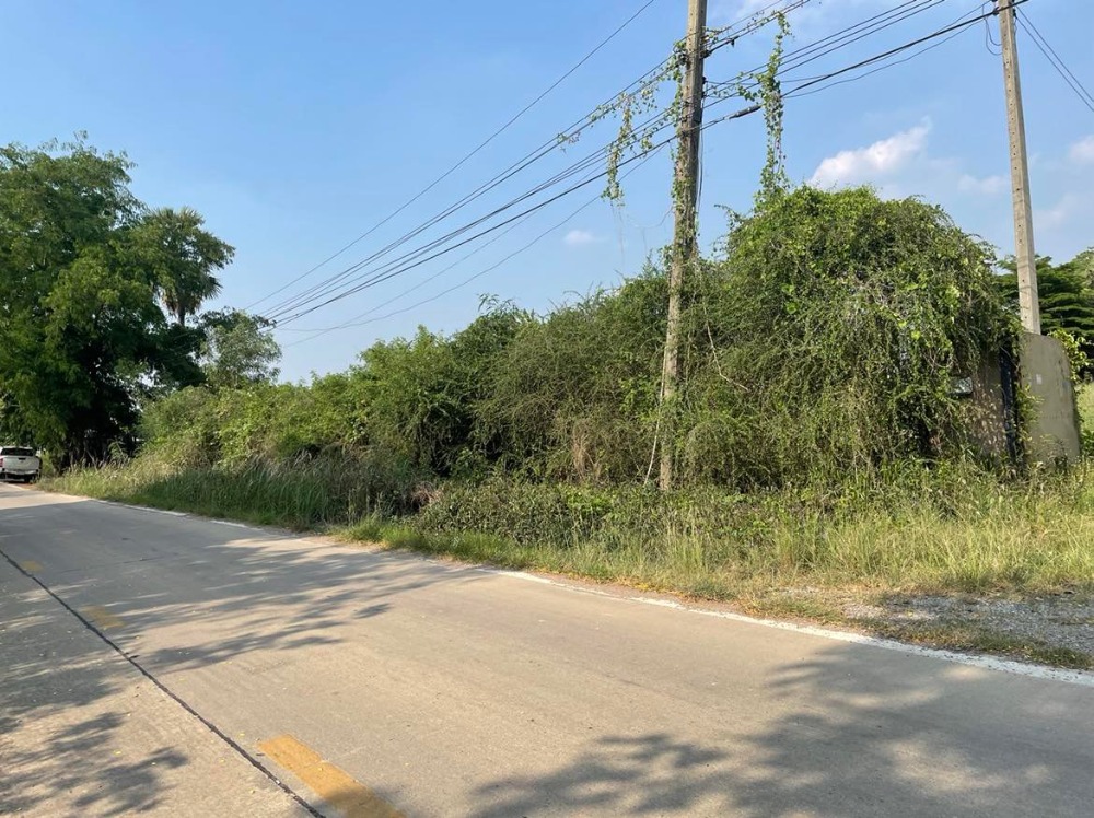 ขายที่ดินปทุมธานี รังสิต ธรรมศาสตร์ : ขายที่ดินถมแล้วบางส่วน 58 ไร่ 1 งาน 33 ตารางวา ใกล้ อบต.คลอง6 ถ.เลียบคลองหก  คลองหลวง ปทุมธานี(ธัญบุรี)12120