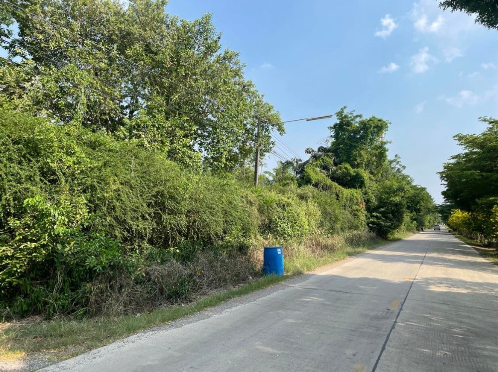 ขายที่ดินปทุมธานี รังสิต ธรรมศาสตร์ : ขายที่ดินถมแล้วบางส่วน 58 ไร่ 1 งาน 33 ตารางวา ใกล้ อบต.คลอง6 ถ.เลียบคลองหก  คลองหลวง ปทุมธานี(ธัญบุรี)12120