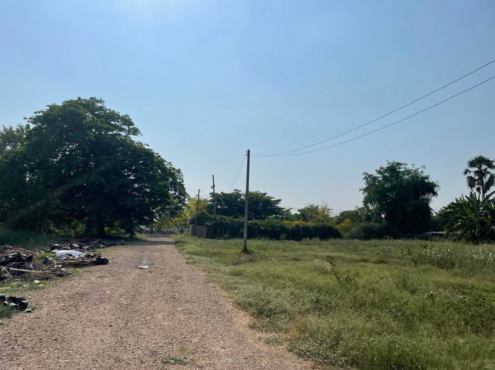 ขายที่ดินปทุมธานี รังสิต ธรรมศาสตร์ : ขายที่ดินถมแล้วบางส่วน 58 ไร่ 1 งาน 33 ตารางวา ใกล้ อบต.คลอง6 ถ.เลียบคลองหก  คลองหลวง ปทุมธานี(ธัญบุรี)12120