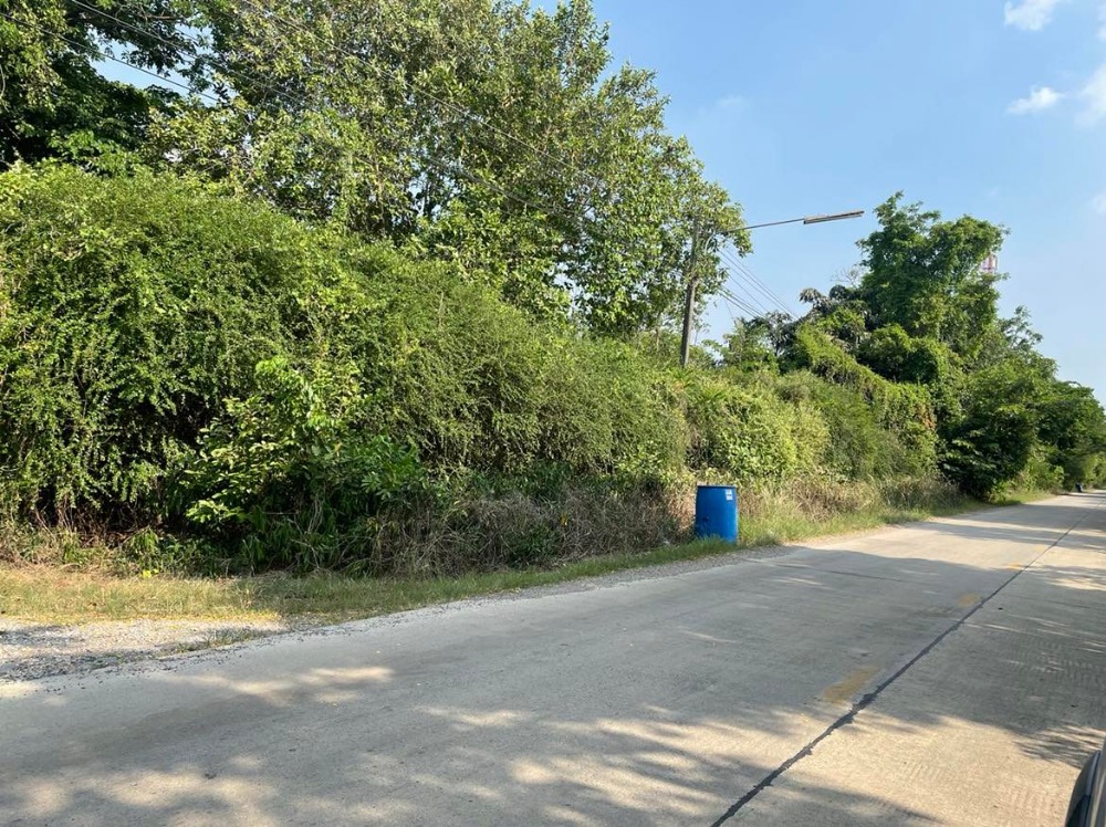 ขายที่ดินปทุมธานี รังสิต ธรรมศาสตร์ : ขายที่ดินถมแล้วบางส่วน 58 ไร่ 1 งาน 33 ตารางวา ใกล้ อบต.คลอง6 ถ.เลียบคลองหก  คลองหลวง ปทุมธานี(ธัญบุรี)12120