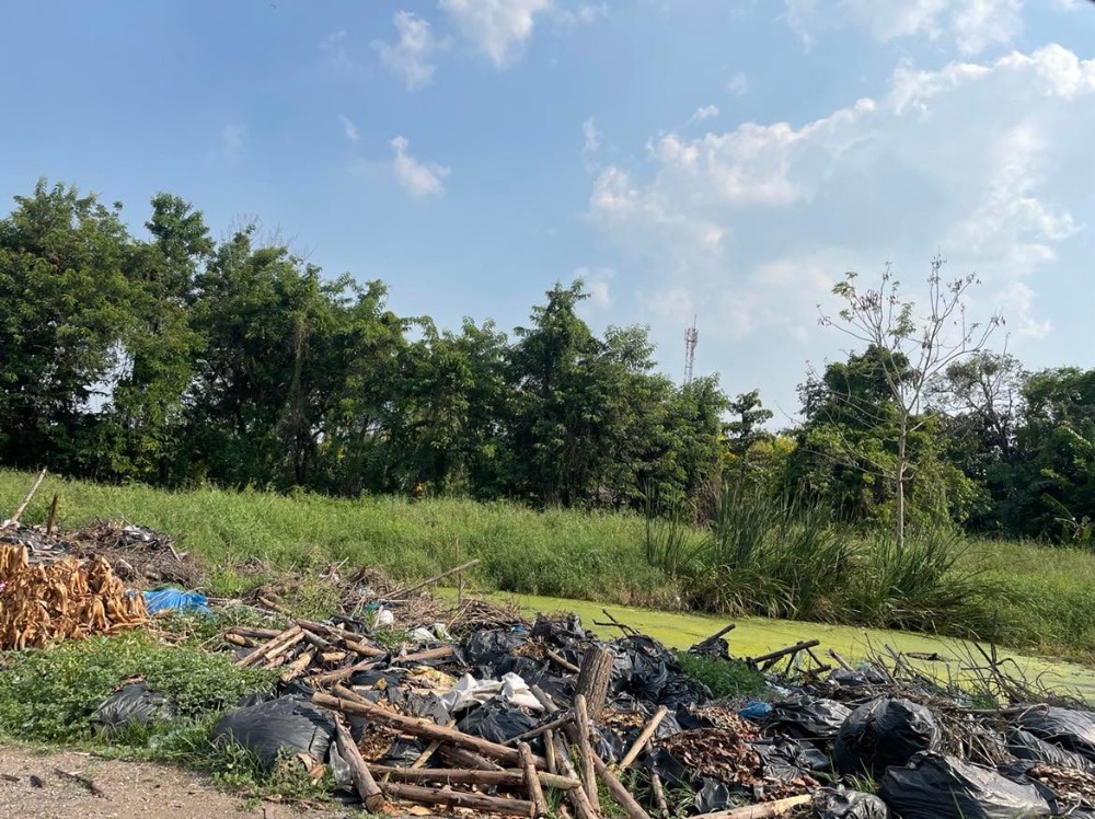 ขายที่ดินปทุมธานี รังสิต ธรรมศาสตร์ : ขายที่ดินถมแล้วบางส่วน 58 ไร่ 1 งาน 33 ตารางวา ใกล้ อบต.คลอง6 ถ.เลียบคลองหก  คลองหลวง ปทุมธานี(ธัญบุรี)12120