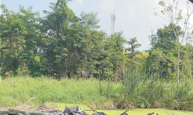 ขายที่ดินปทุมธานี รังสิต ธรรมศาสตร์ : ขายที่ดินถมแล้วบางส่วน 58 ไร่ 1 งาน 33 ตารางวา ใกล้ อบต.คลอง6 ถ.เลียบคลองหก  คลองหลวง ปทุมธานี(ธัญบุรี)12120