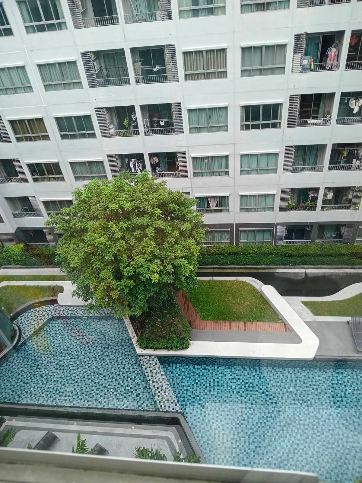 ขายคอนโดอ่อนนุช อุดมสุข : เอลลิโอ สุขุมวิท 64 วิวสระว่ายน้ำ ราคาพิเศษ 1.95ล้าน จองด่วน!!!