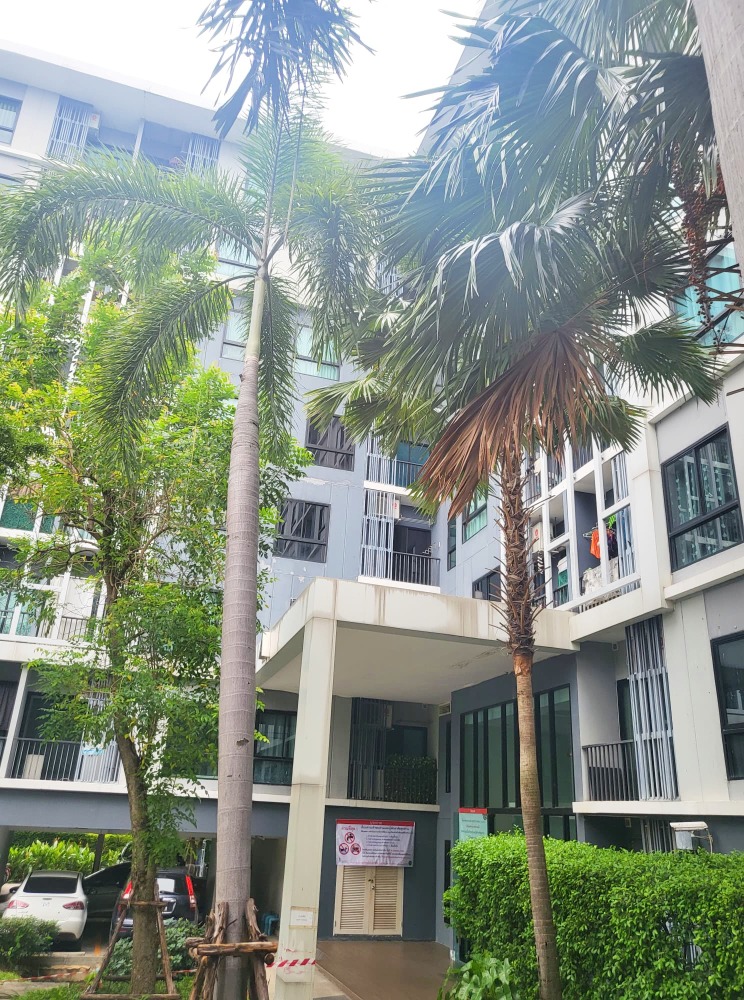 ขายคอนโดแจ้งวัฒนะ เมืองทอง : ขาย ไอคอนโด งามวงศ์วาน 2 ขนาด 1 ห้องนอน 27.35 ตรม. ห้องเรียบร้อย เดินทางสะดวก ใกล้ MRT แยกติวานนท์ และกระทรวงสาธารณสุข