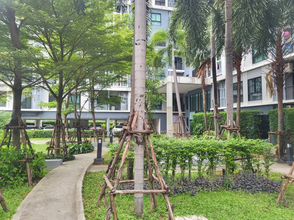 ขายคอนโดแจ้งวัฒนะ เมืองทอง : ขาย ไอคอนโด งามวงศ์วาน 2 ขนาด 1 ห้องนอน 27.35 ตรม. ห้องเรียบร้อย เดินทางสะดวก ใกล้ MRT แยกติวานนท์ และกระทรวงสาธารณสุข