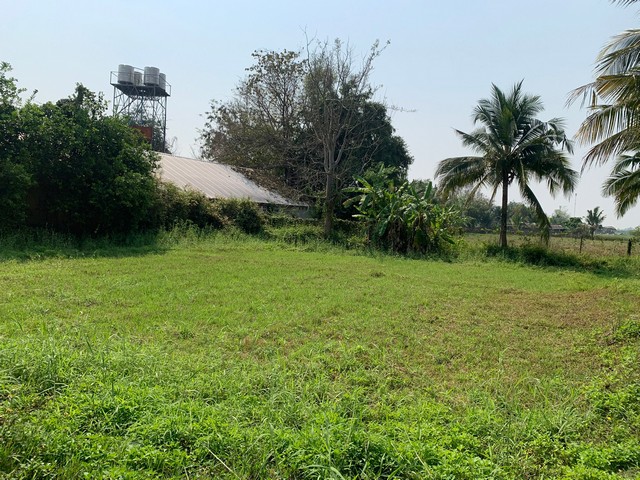 For SaleLandChiang Mai : Land for sale with garden houses, San Pa Tong District, Chiang Mai Province, 13 rai-1 ngan-11 sq.wa.