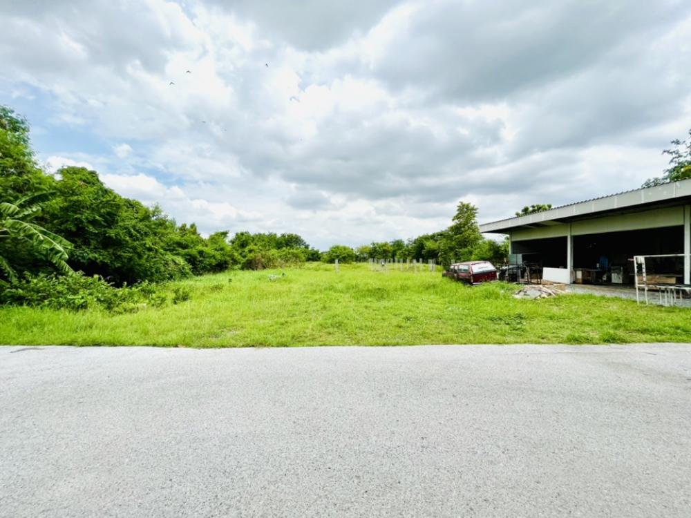 ขายที่ดินอยุธยา : ขายที่ดินพร้อมสิ่งปลูกสร้าง 5 ไร่ กลางเมืองอยุธยา ติดถนนใหญ่ 4 เลน คลองสวนพลู